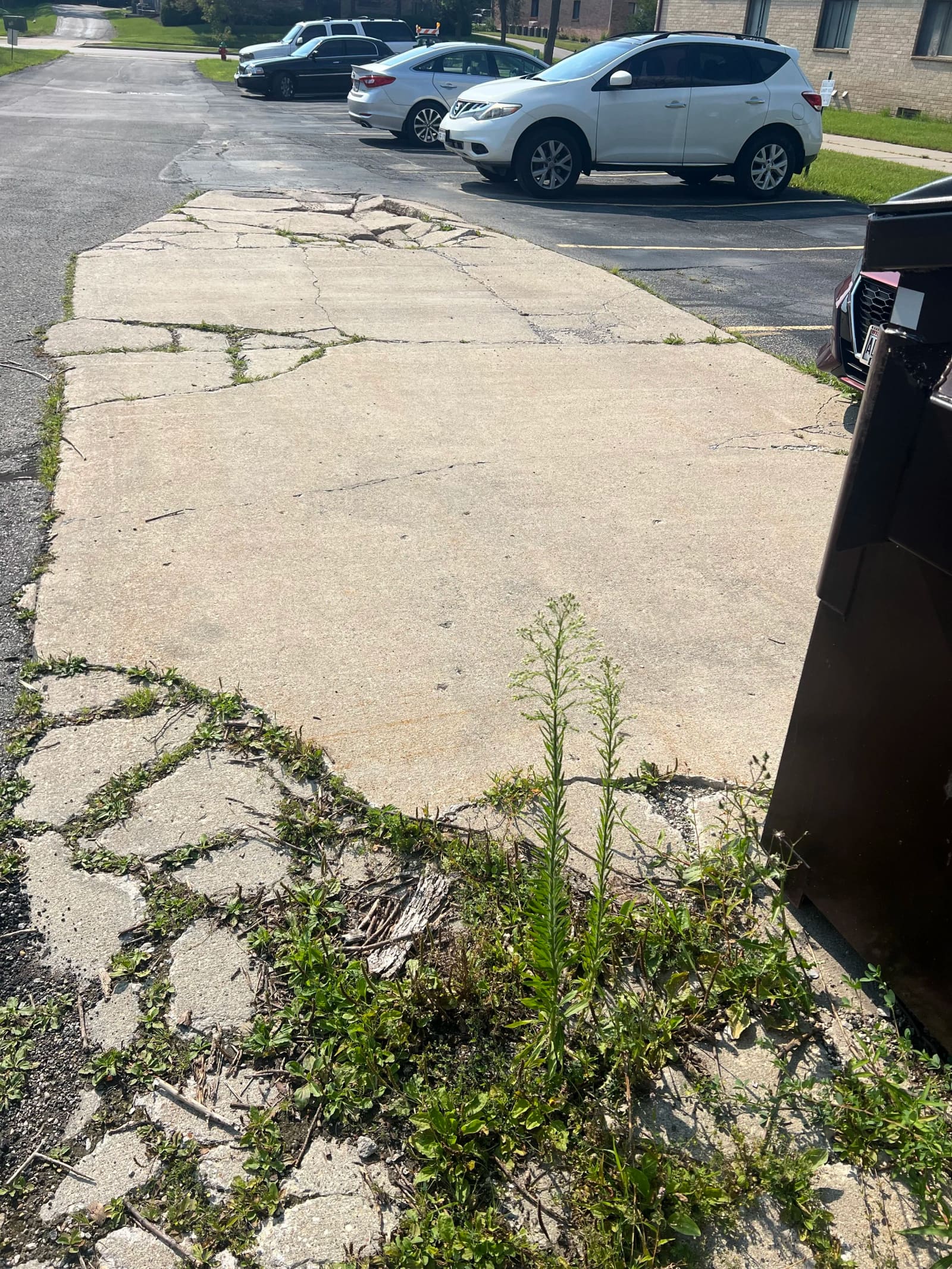 Sidewalks & Driveways