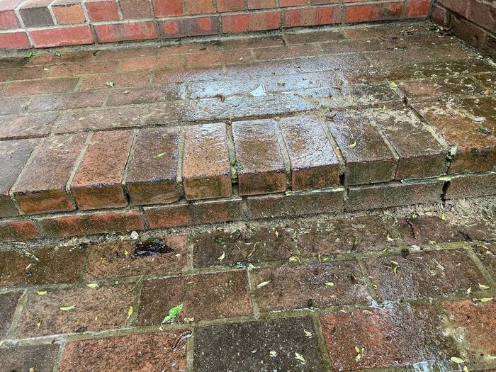 Brick steps and patio with mossy, eroded mortar joints